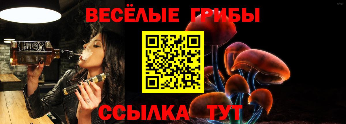 закладка  Псилоцибиновые грибы мухоморы  Вход с VPN  Псилоцибиновые грибы прущие грибы  Аргун 
