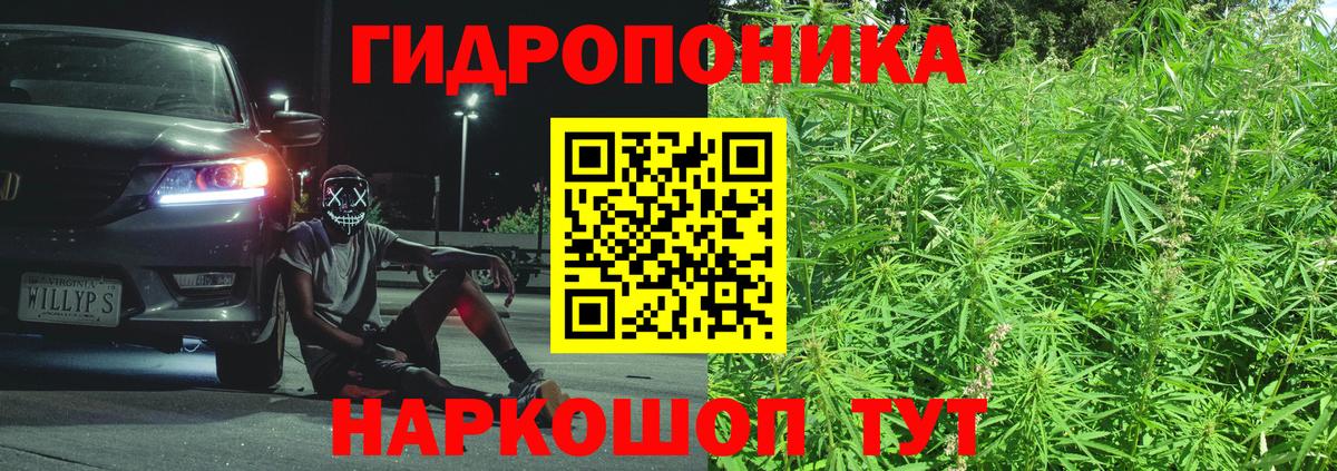 Бошки марихуана Amnesia Аргун